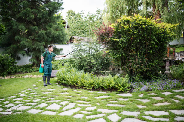 Best Sod Installation  in Kenosha, WI